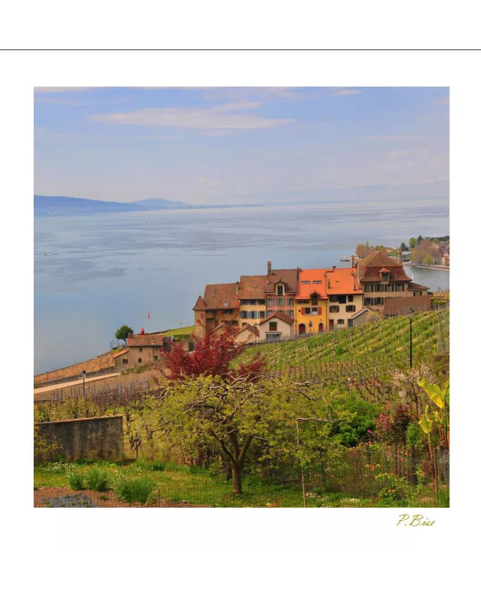Cartes Lavaux - 2346-40