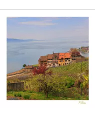 Cartes Lavaux - 1664-41
