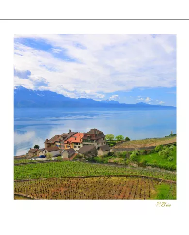 Cartes Lavaux - 2354-40