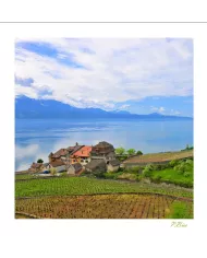 Cartes Lavaux - 2354-40