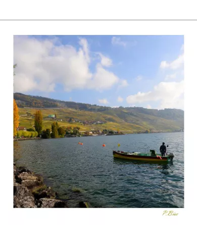 Cartes Lavaux - 4025-42