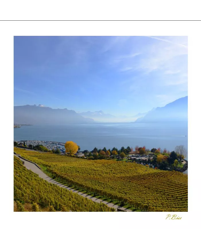 Cartes Lavaux - 4205-42