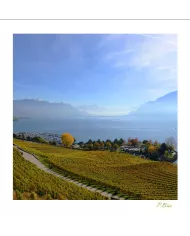 Cartes Lavaux - 4208-42