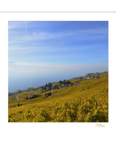 Cartes Lavaux - 4228-42