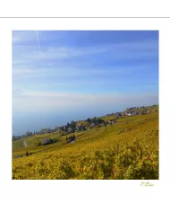 Cartes Lavaux - 4228-42