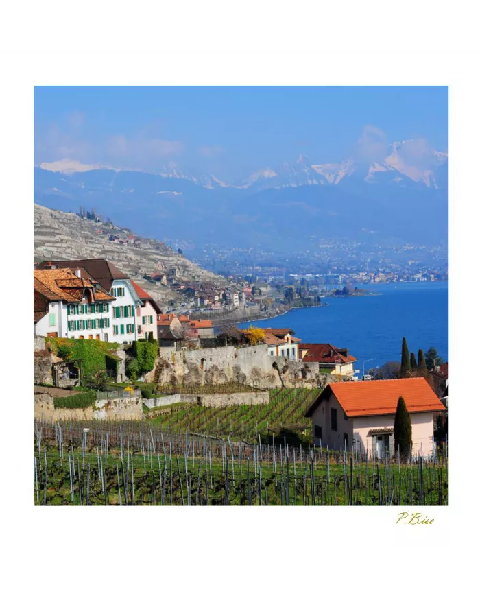 Cartes Lavaux - 5005-40