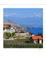 Cartes Lavaux - 8377-41