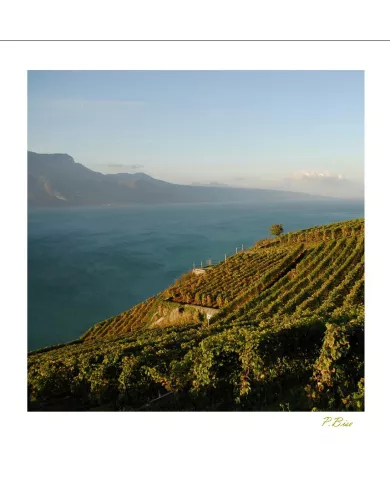 Cartes Lavaux - 73-41