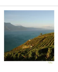 Cartes Lavaux - 9358-41