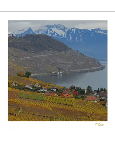 Cartes Lavaux - 315-42
