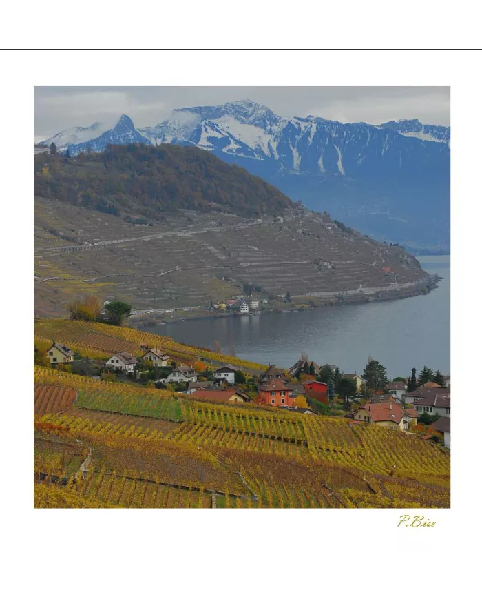 Cartes Lavaux - 315-42