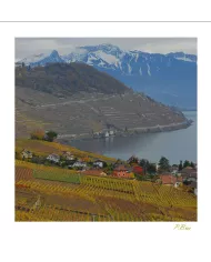 Cartes Lavaux - 73-41