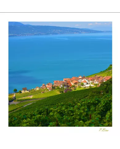 Cartes Lavaux - 733-41