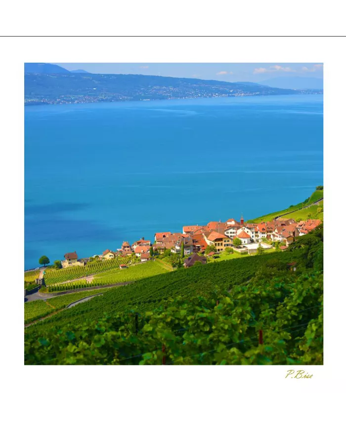 Cartes Lavaux - 733-41