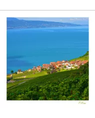 Cartes Lavaux - 733-41