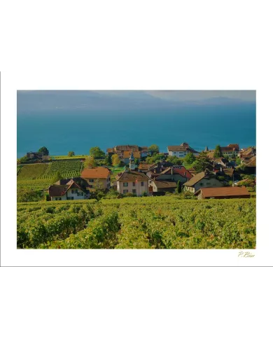 Cartes Lavaux - 181-41