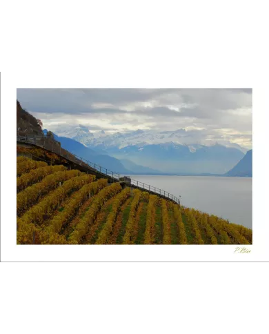 Cartes Lavaux - 221-42