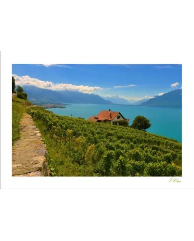 Cartes Lavaux - 812-41