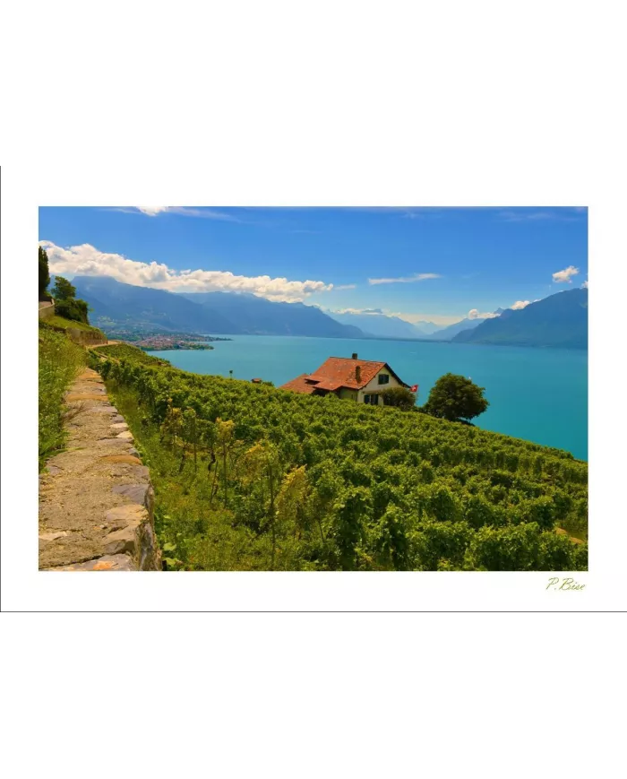 Cartes Lavaux - 812-41