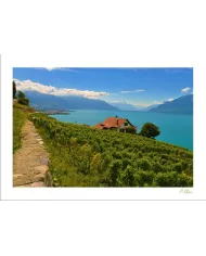 Cartes Lavaux - 1283-40