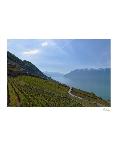 Cartes Lavaux - 1283-40