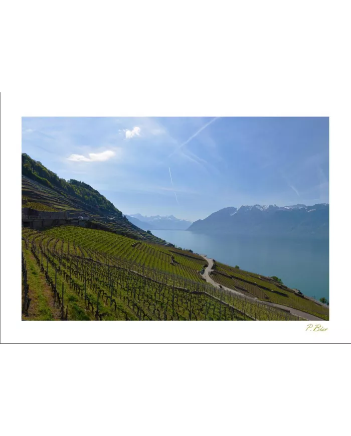 Cartes Lavaux - 1283-40
