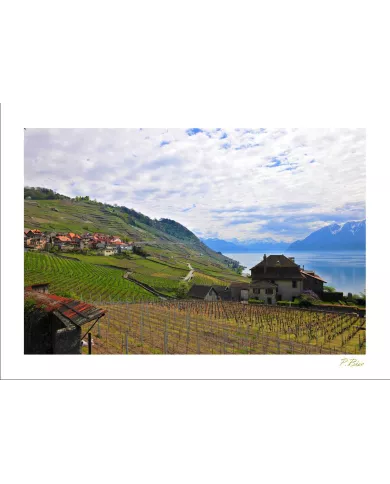 Cartes Lavaux - 2387-40