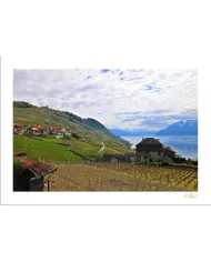 Cartes Lavaux - 3961-42