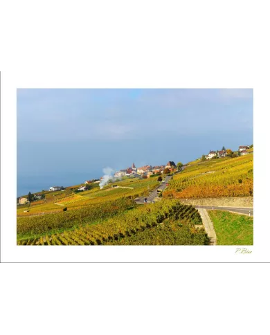 Cartes Lavaux - 3961-42