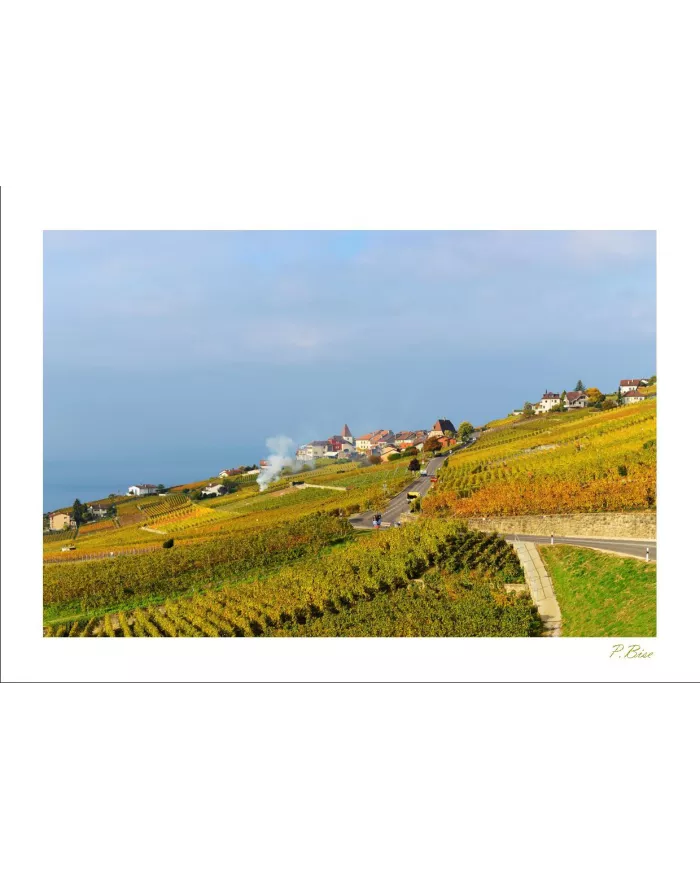 Cartes Lavaux - 3961-42