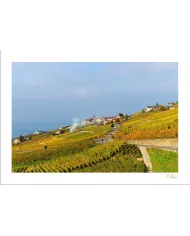 Cartes Lavaux - 3961-42