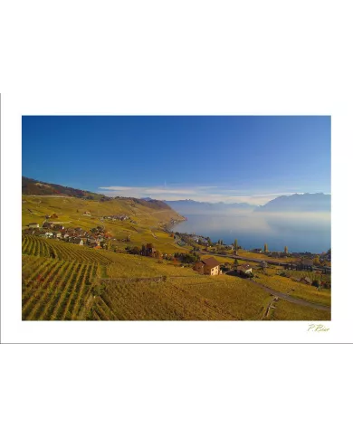Cartes Lavaux - 4230-42