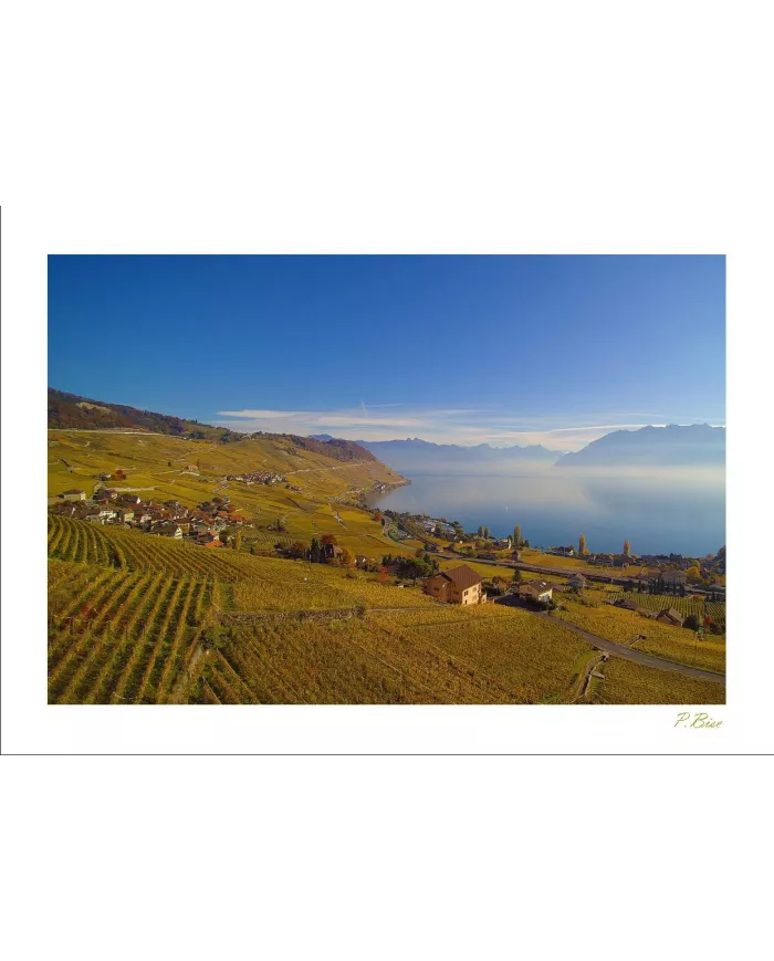 Cartes Lavaux - 4230-42