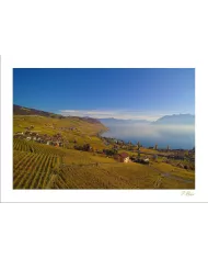 Cartes Lavaux - 3961-42