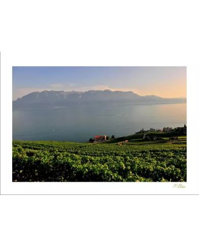 Cartes Lavaux - 9370-41