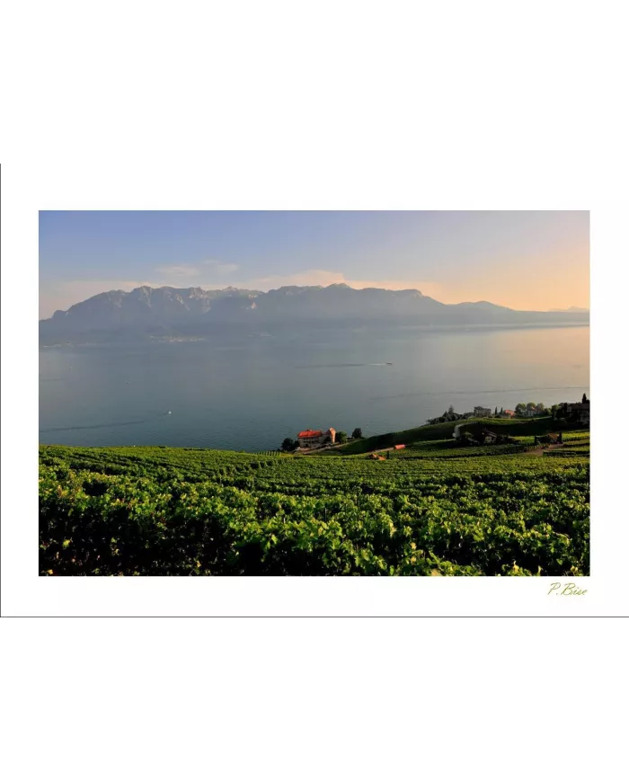 Cartes Lavaux - 9370-41