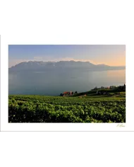 Cartes Lavaux - 5027-40