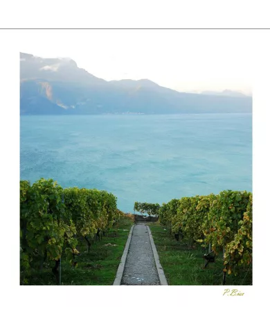 Cartes Lavaux C15 - 32-41
