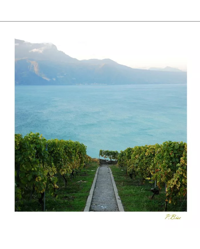 Cartes Lavaux C15 - 32-41