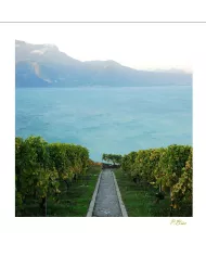 Cartes Lavaux - 9370-41