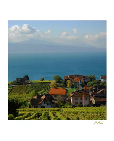 Cartes Lavaux C15 - 179-41