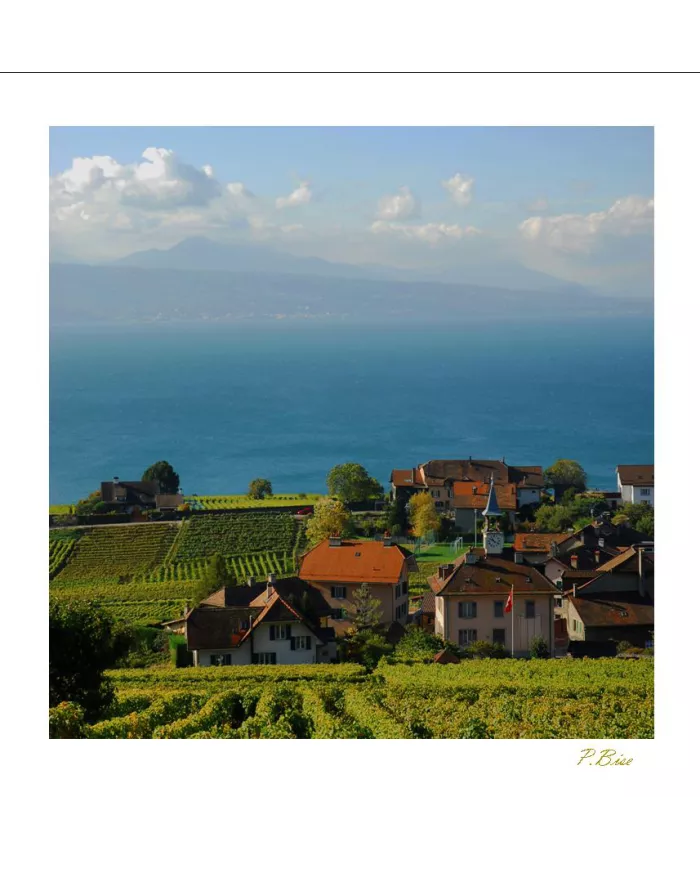Cartes Lavaux C15 - 179-41