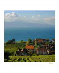 Cartes Lavaux C15 - 210-42