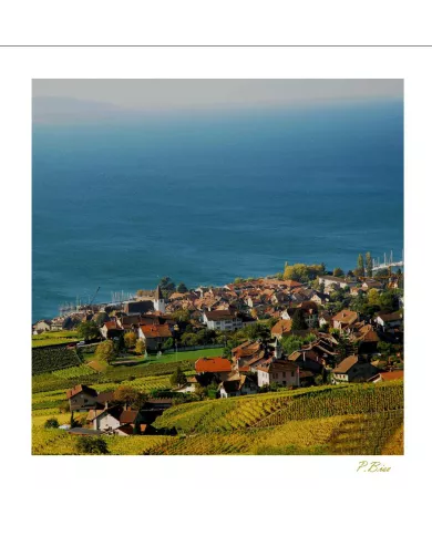 Cartes Lavaux C15 - 210-42