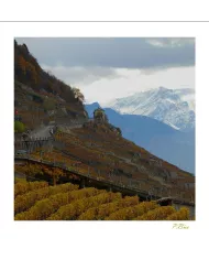 Cartes Lavaux C15 - 219-42