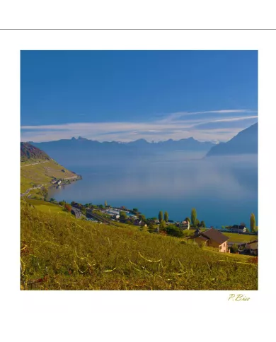 Cartes Lavaux C15 - 440-42