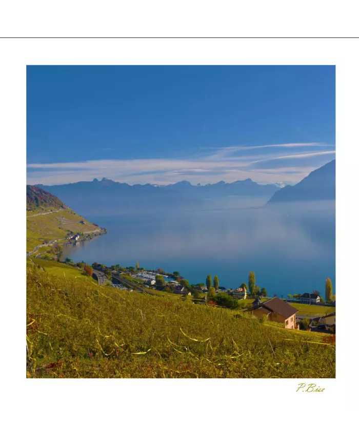 Cartes Lavaux C15 - 440-42