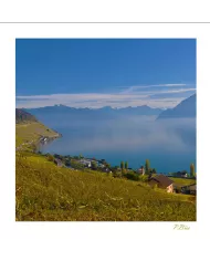 Cartes Lavaux C15 - 219-42
