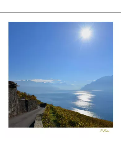 Cartes Lavaux C15 - 1034-42
