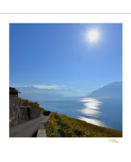 Cartes Lavaux C15 - 440-42